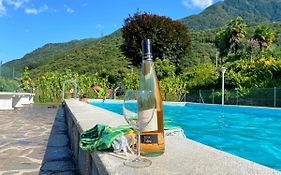 Bellavista A Garten Appartement mit Pool